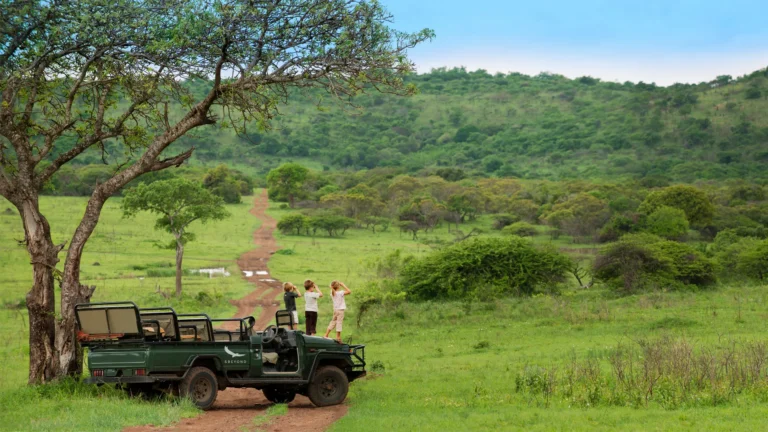 Best Luxury Safari Consultants United States | 2026 Expert Guide