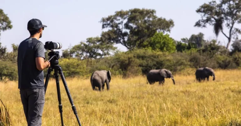 Best Luxury Safari for Photographers: 2026 Expert Planning Guide