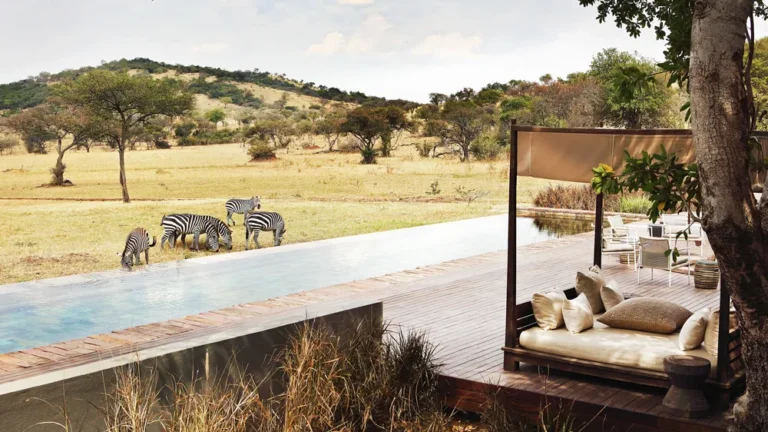Best Luxury Safari Options: The Definitive Reference for 2026