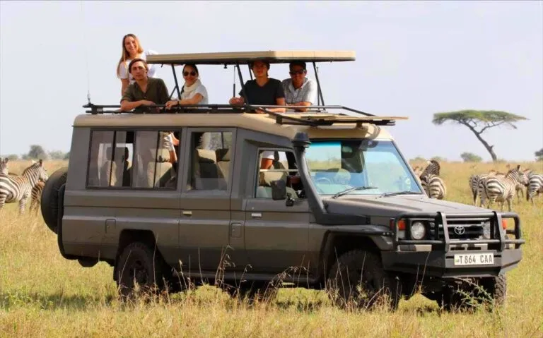 Compare Luxury Safari Tour Plans: 2026 Definitive Guide