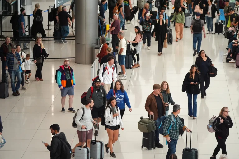 How to Manage Safari Flight Delays | 2026 Expert Logistics