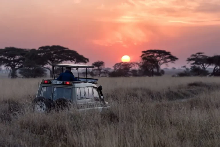 How to Plan Luxury Safaris on a Budget: The 2026 Definitive Guide
