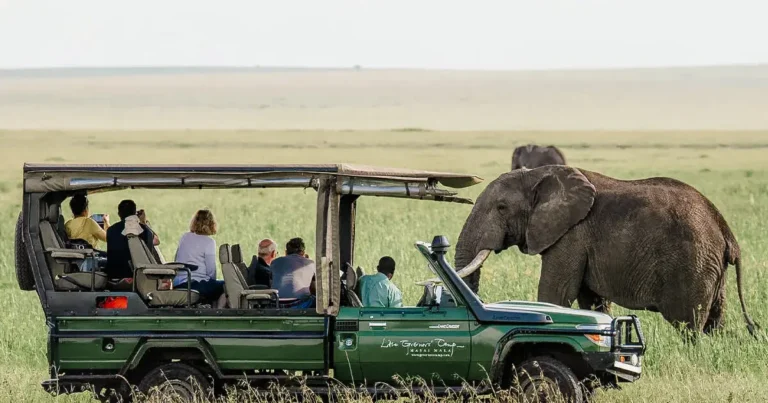 Luxury Safari Excursion Plans: 2026 Definitive Guide to High-End Travel