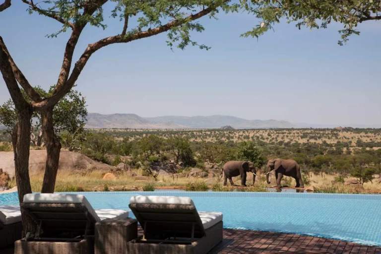 Luxury Safari Package Plans | The 2026 Definitive Comparison