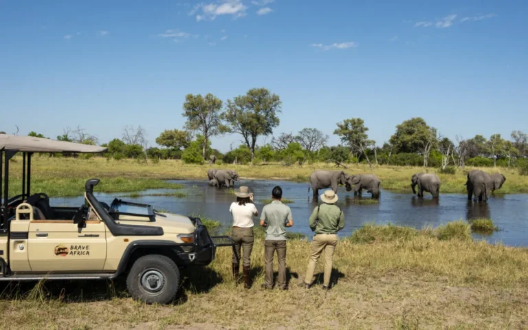 Luxury Safari Planning Tips: The 2026 Definitive Expert Guide