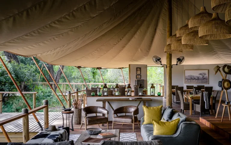 Luxury Safari Service Plans: The Definitive Reference for 2026