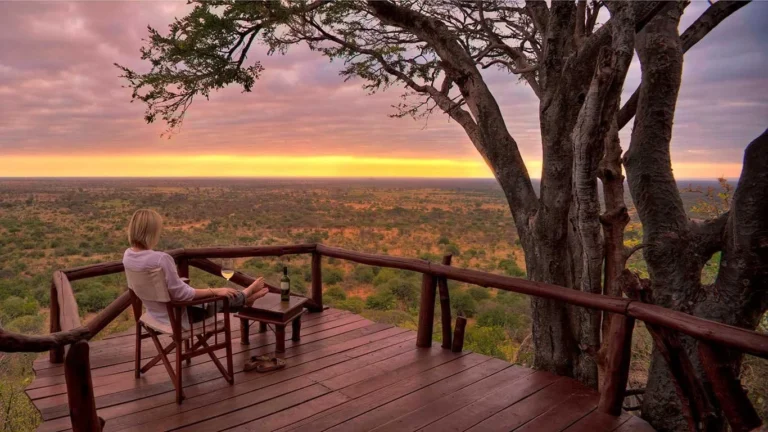 Luxury Safari Themed Destinations USA | 2026 Expert Guide