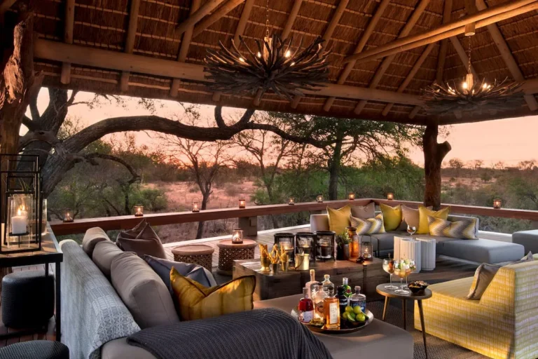 Top Luxury Safari Plans: The Definitive Guide to Bespoke Wildlife Travel